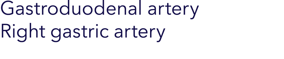 Gastroduodenal artery Right gastric artery 