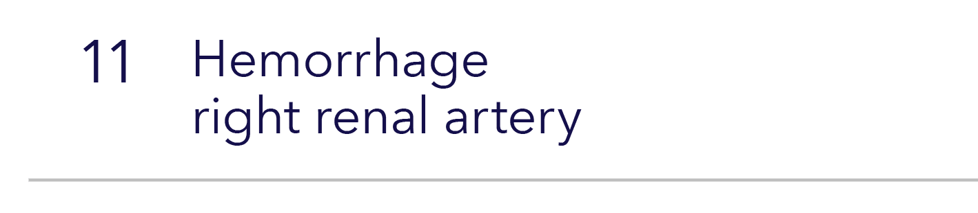 11,Hemorrhage right renal artery,